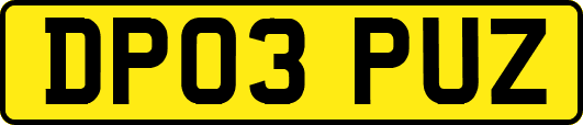 DP03PUZ