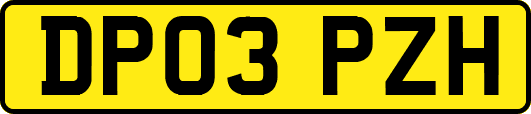 DP03PZH