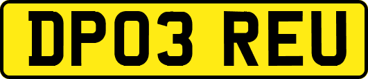 DP03REU