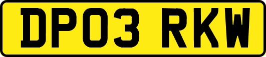 DP03RKW