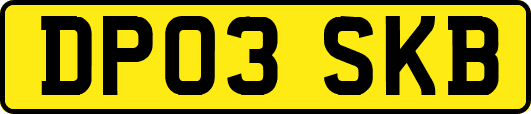 DP03SKB
