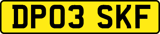 DP03SKF