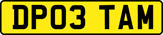 DP03TAM