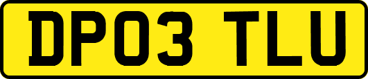 DP03TLU