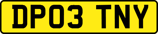 DP03TNY