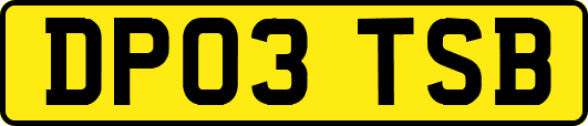 DP03TSB