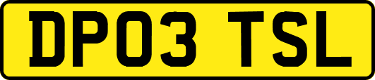 DP03TSL