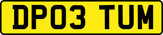 DP03TUM
