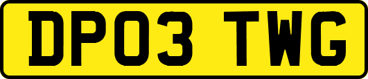 DP03TWG