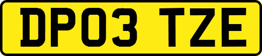 DP03TZE