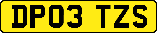DP03TZS