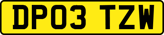 DP03TZW