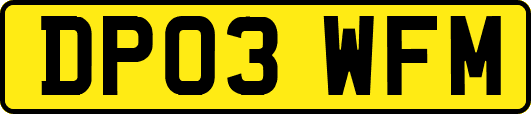 DP03WFM