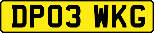 DP03WKG