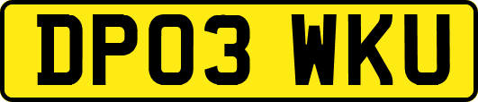 DP03WKU