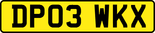 DP03WKX