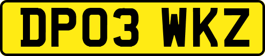 DP03WKZ