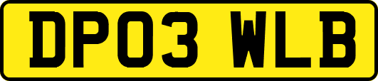DP03WLB