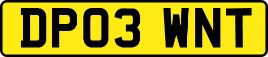 DP03WNT
