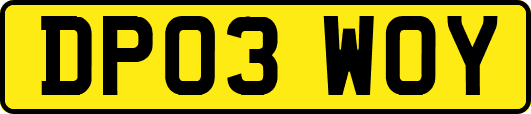 DP03WOY