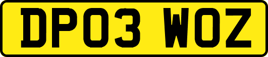 DP03WOZ