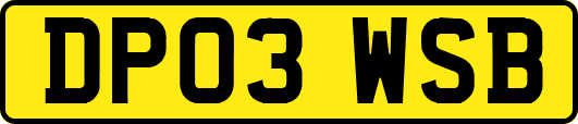 DP03WSB