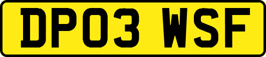 DP03WSF