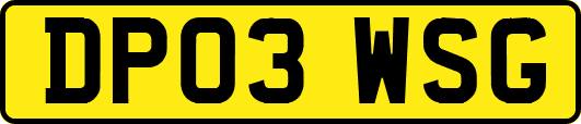 DP03WSG