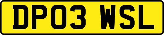 DP03WSL
