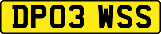 DP03WSS