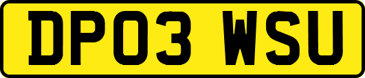 DP03WSU