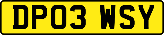 DP03WSY