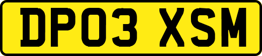 DP03XSM