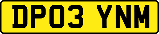 DP03YNM