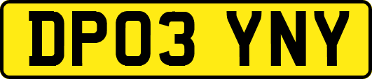 DP03YNY