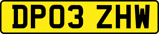 DP03ZHW