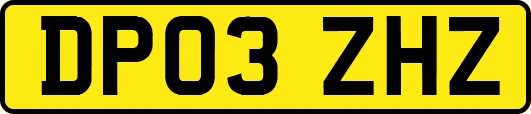 DP03ZHZ