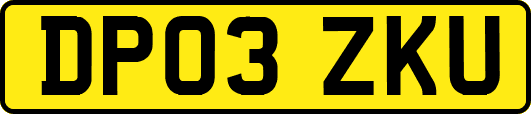 DP03ZKU