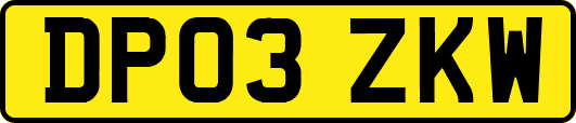 DP03ZKW