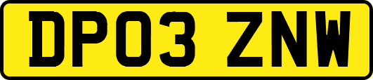 DP03ZNW