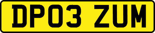 DP03ZUM
