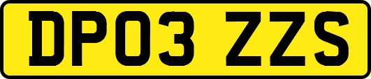 DP03ZZS