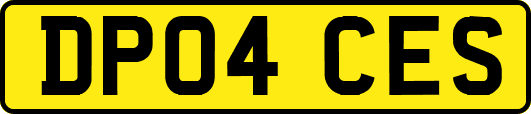 DP04CES