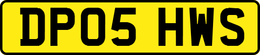 DP05HWS