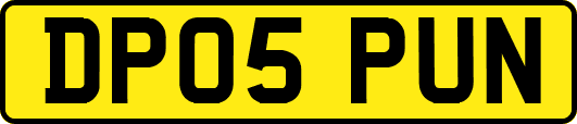 DP05PUN