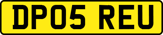 DP05REU