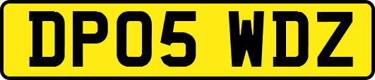 DP05WDZ
