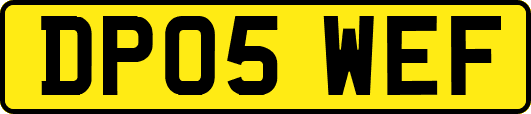 DP05WEF