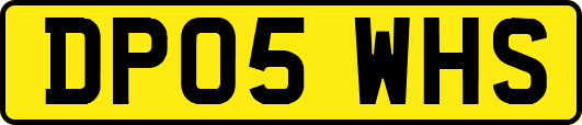 DP05WHS