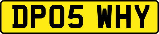 DP05WHY